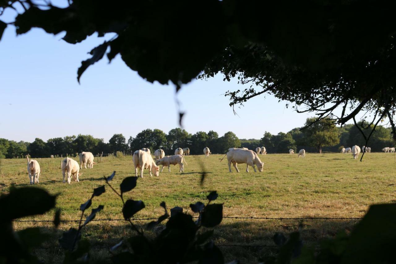 Le Bourgis Bed & Breakfast La Chapelle-Montligeon ภายนอก รูปภาพ