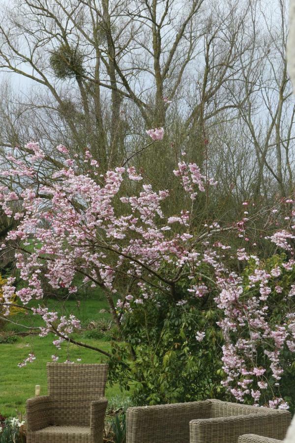 Le Bourgis Bed & Breakfast La Chapelle-Montligeon ภายนอก รูปภาพ